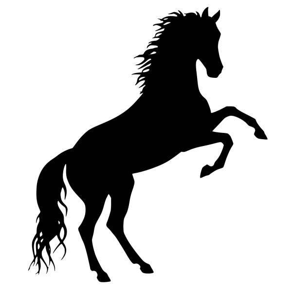 caballo de nombre armoniosa