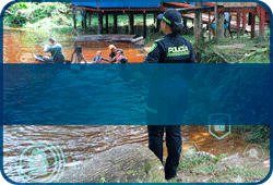 Consulta de Inhabilidades