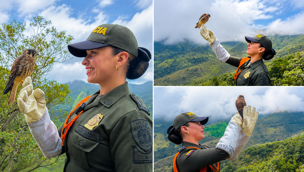Los Polic&iacute;as de Nari&ntilde;o protegen la biodiversidad