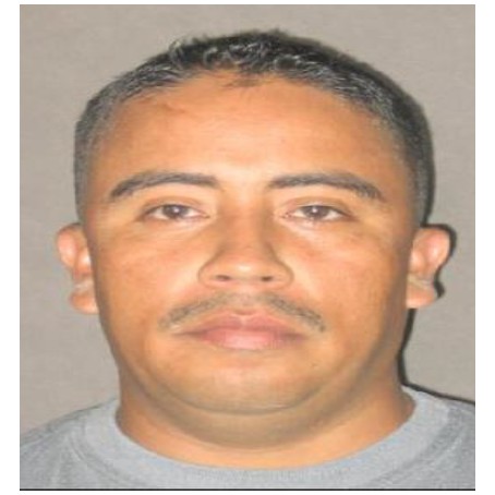 Jose Gonzalo Sanchez Sanchez Jose Gonzalo Sanchez Sanchez
