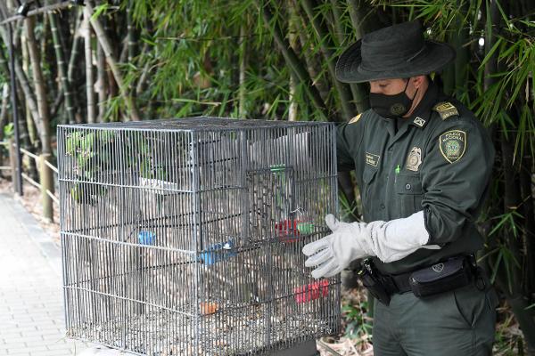 Acciones para conservar la fauna silvestre colombiana 