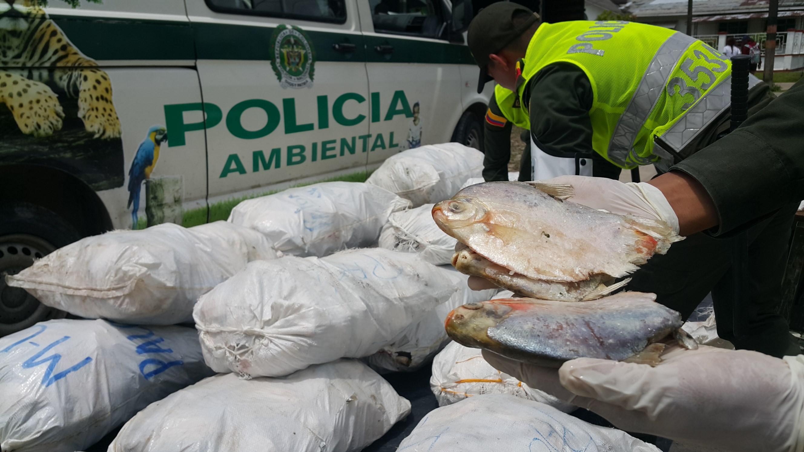 El subproducto pesquero era transportado sin las condiciones de higiene exigidas por la ley