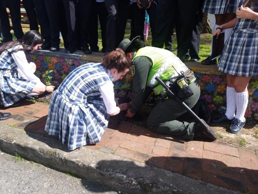 Amigos de la naturaleza