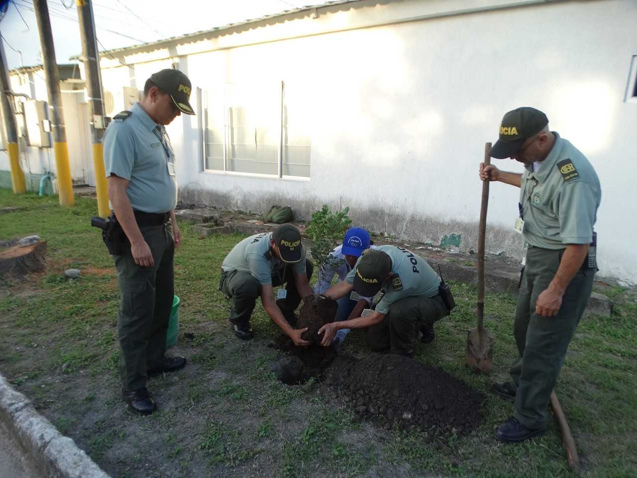 “Siembra un árbol en la ESGON”