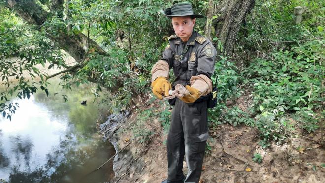 Policía Nacional y la Corporación Autónoma Regional del Alto Magdalena realizan la liberación de varias especies