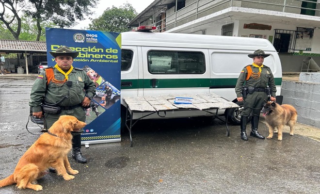 32.000 gramos de marihuana prensada.