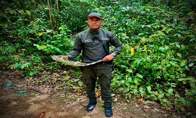 Protección animal y conservación ambiental: prioridad de la Policía Nacional en San Andrés.