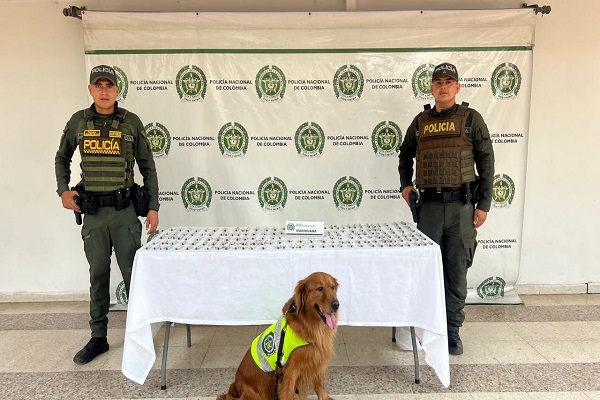 Dos Policías y un guía canino con la incautación de estupefacientes