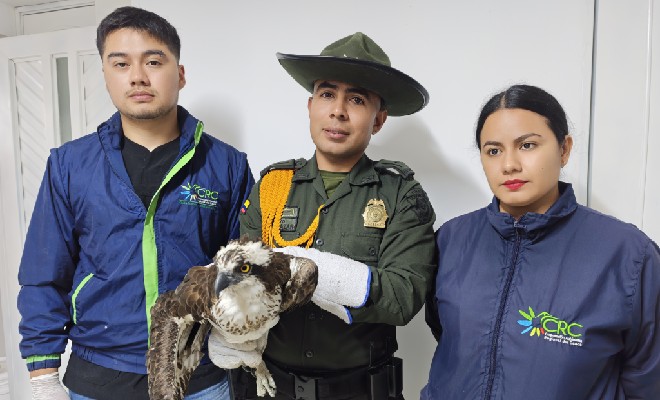 Policía Nacional destaca acciones de protección de fauna silvestre en el departamento del Cauca