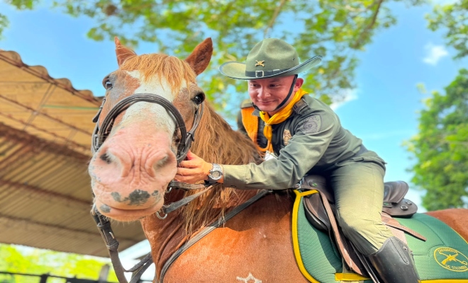 un uniformado adscrito a la seccional de carabineros y protección ambiental  son riendo con su equino 