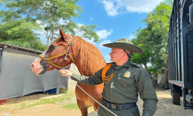 un uniformado adscrito a la seccional de carabineros y protección ambiental con su equino 