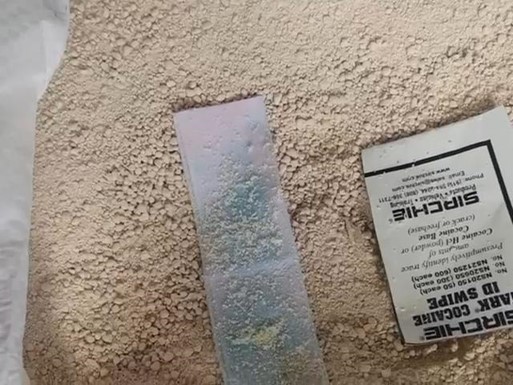 El cargamento, camuflado en yeso y con destino a Países Bajos, representaba más de 388 millones de dólares para organizaciones narcotraficantes con presencia en Buenaventura.