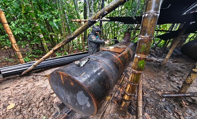 Se destruyeron elementos utilizados para el procesamiento ilegal del producto.