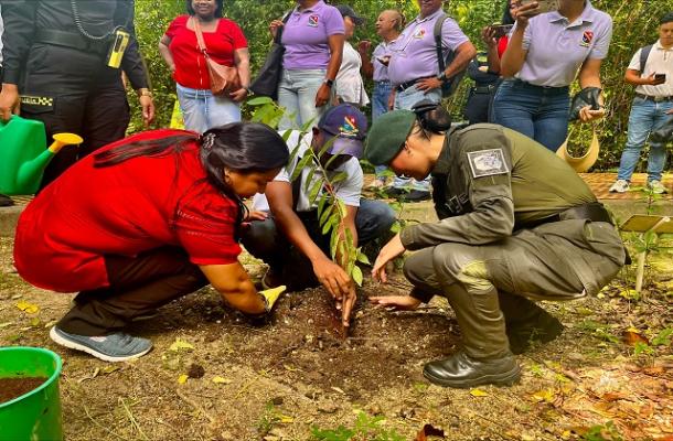 El que simbra paz cosecha el bien