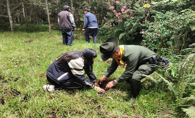 Policia carabinero y una niña de espaldas, sembrando un árbol 