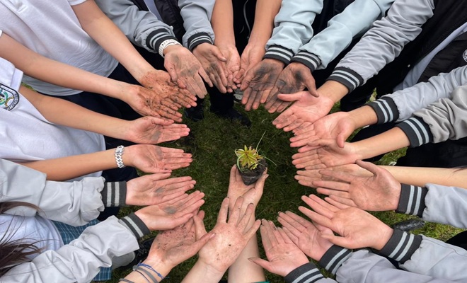 manos de ni&ntilde;os tras la siembra de arboles en Pasto