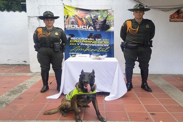 Dos policías junto al canino ODHIL, con la marihuana incautada