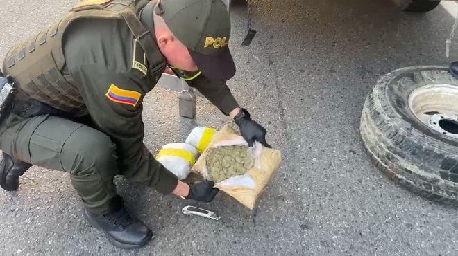 Hallazgo de los elementos alucinógenos