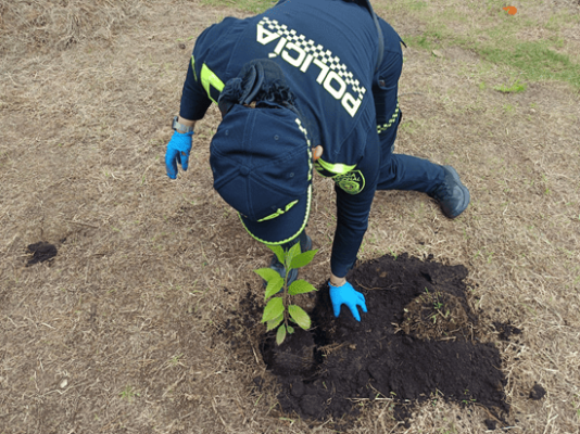 funcionaria de policía realizando la siembra de un árbol