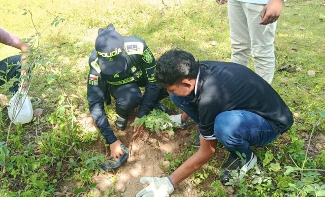Siembran vida y esperanza en el Bosque del Águila con jornada ambiental y preventiva