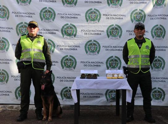 elementos incautados entre ellos marihuana y clorhidrato de coca&iacute;nasobre una mesa, junto al canino especializado y los uniformados que participaron en el procedimiento