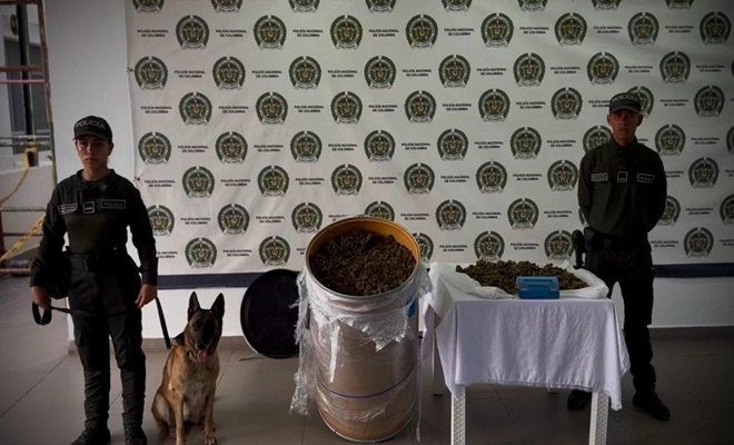 Dos uniformados de la Policía Nacional, un canino y marihuana incautada 
