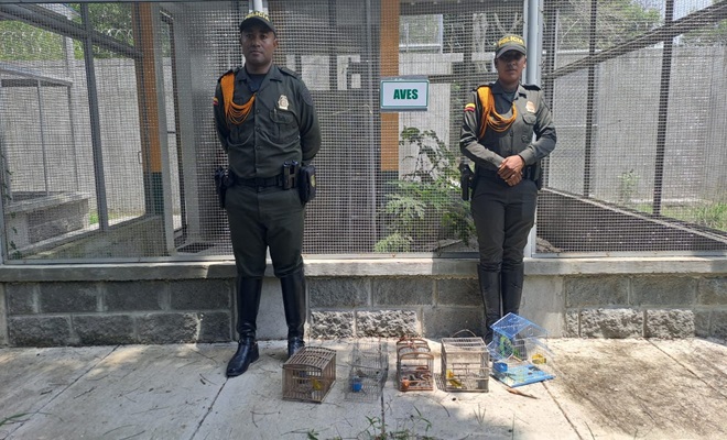 Dos Polic&iacute;as y cinco aves incautadas