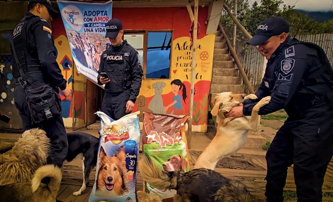 tres funcionarios adscritos al GUDMO 15 están saludando a los perritos de la fundación 