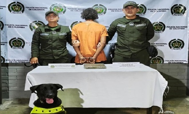 Perro delante de droga incautada, junto con detenido y dos policías
