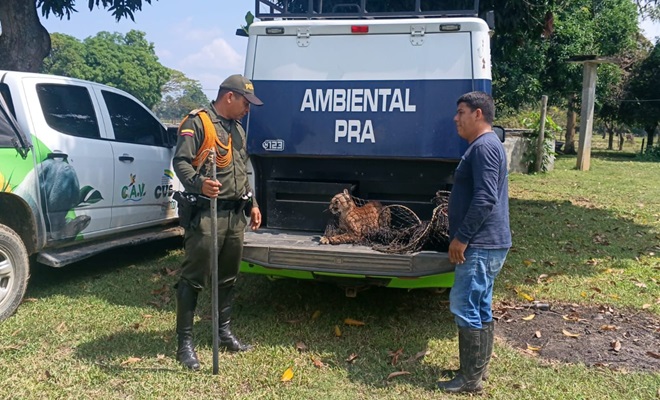 Polic&iacute;a con la ciudadana