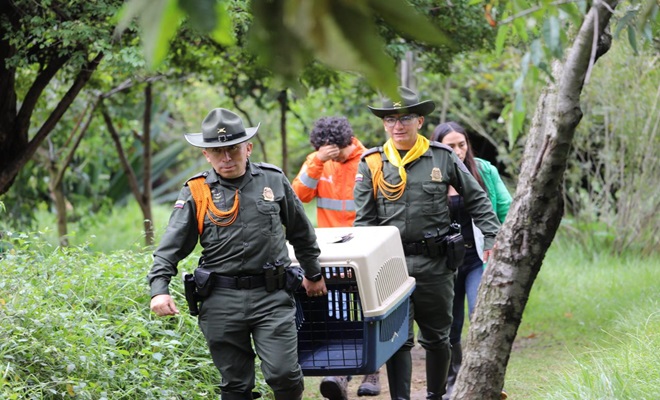 Policías sosteniendo una caja transportadora con aves