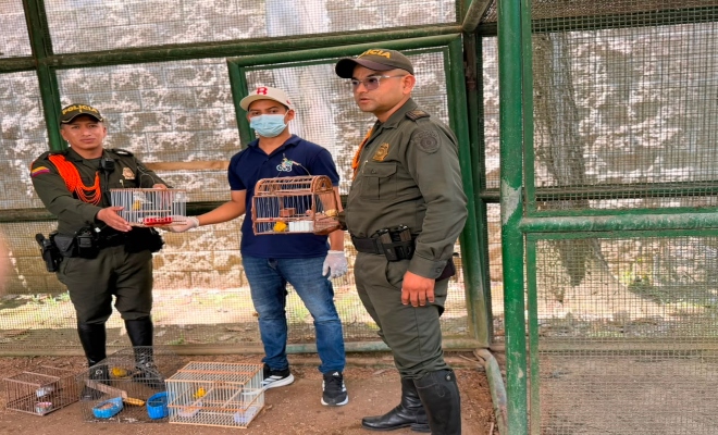 dos uniformados de la seccional de carabineros y protecci&oacute;n ambiental realizan entrega a un funcionario de  la CAV  canarios 