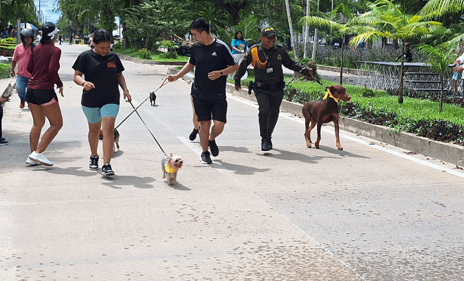 Policía en Amazonas realizó jornada de vacunación veterinaria para el bienestar de animales de compañía