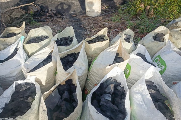 Dos personas fueron capturadas durante un operativo conjunto entre la Policía Nacional, el Ejército y la CAM, que permitió intervenir hornos artesanales y evitar graves afectaciones ambientales en el sector San Antonio Bajo.