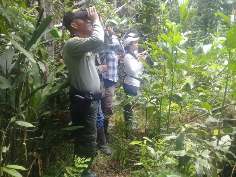 Celebración Global Big Day