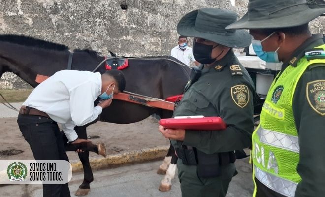 Continuamos en la lucha contra el maltrato animal2