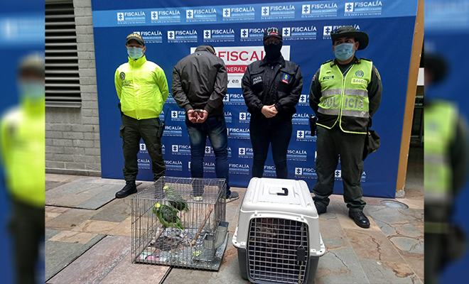 Policías custodian a capturado con fauna ilegal