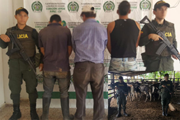 capturas-y-recuperacion-de-semovientes