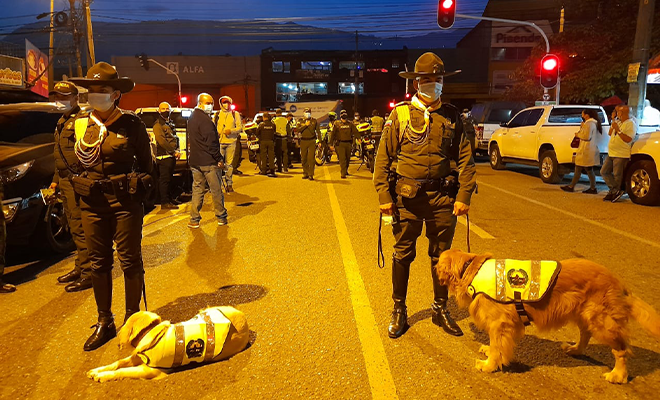 carabineros con sus caninos en formación