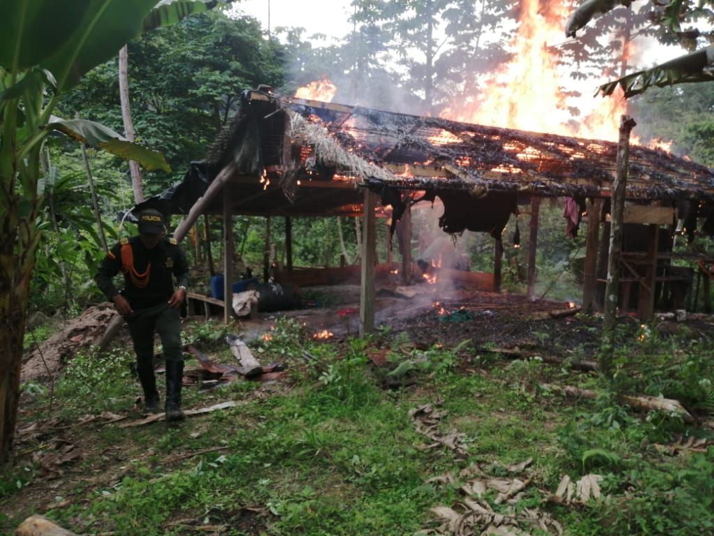 Se erradicaron más de 3000 plantas de coca.