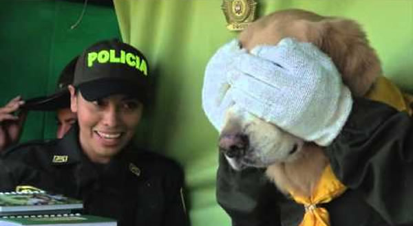 dogui-perro-policia-colombia-relacionista-pensionado
