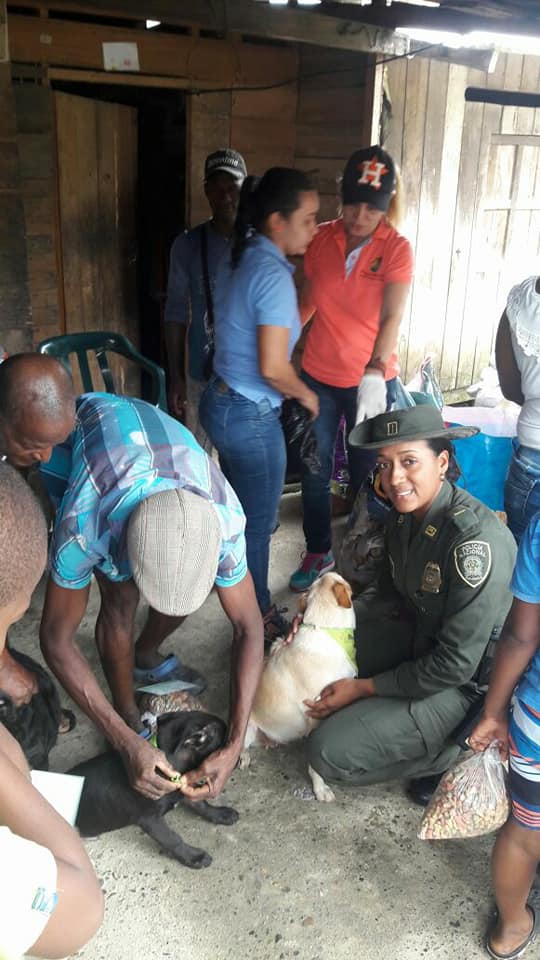 En-la-Capital-del-Chocó-realizamos-Jornada-de-Protección-Animal