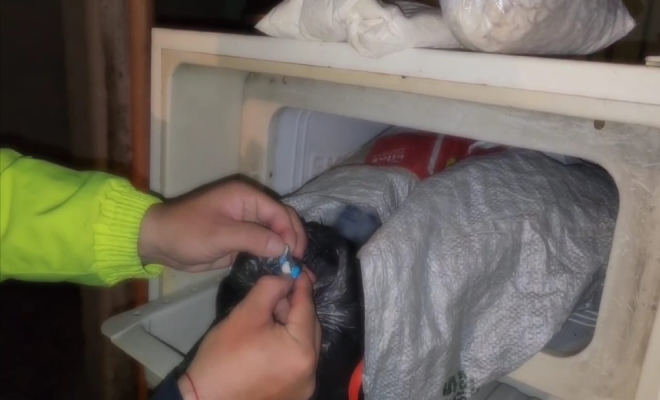 Alucinógenos incautados que al parecer pretendían comercializar en el sur de la capital del país