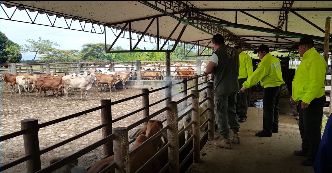 Ocupados-4.456- bienes- narcotraficante ‘Puntilla’-círculo familiar-POLICIA NACIONAL-Extincion de dominio