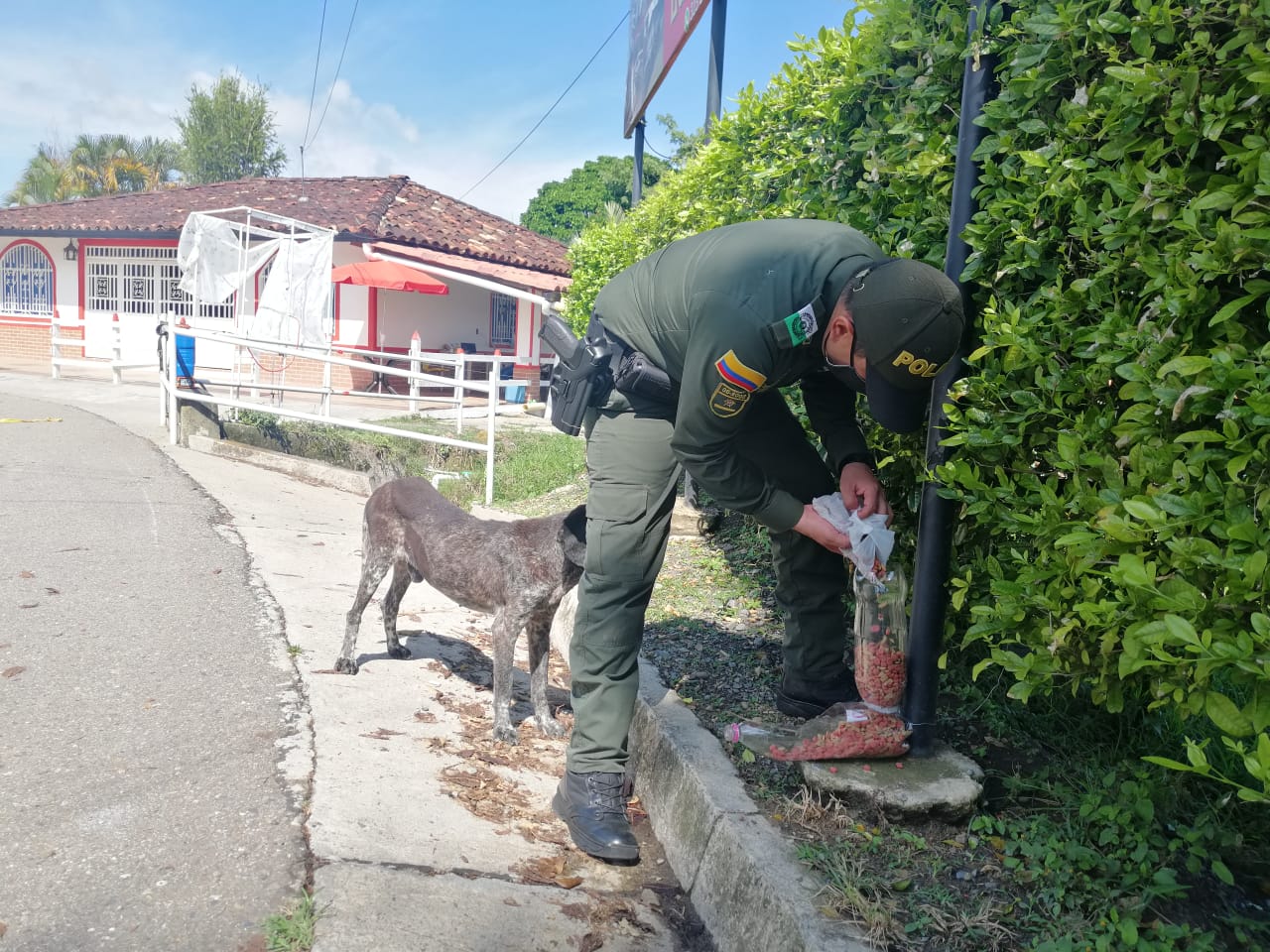 Fabricamos dispensadores artesanales de alimentos para mascotas.