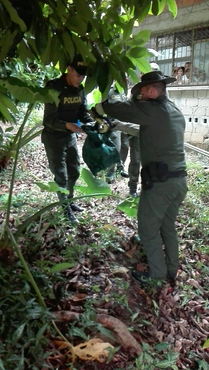 policia-ambiental-rescata-serpiente