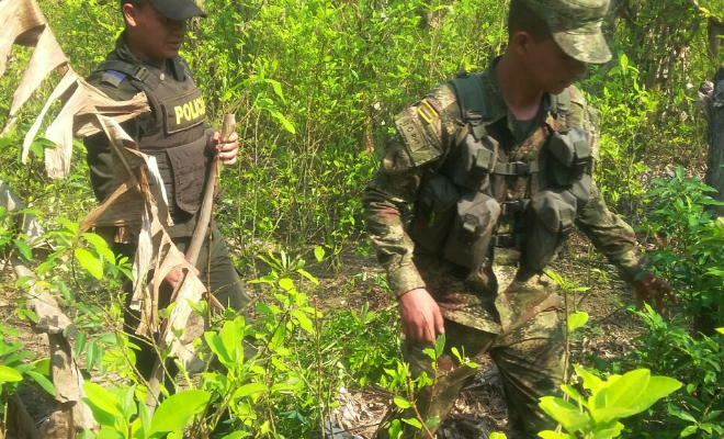 En-Ofensiva Nacional-contra-el-Delito-caen-dos-complejos cocaleros-del-‘Clan-del-Golfo’