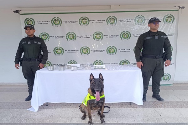 Dos Policías y canino Odhil con la incautación de estupefacientes