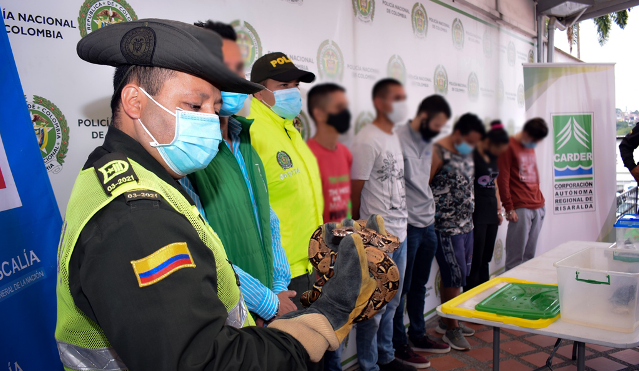 Policía-Metropolitana-de-Pereira-desarrolló-la-operación-Camaleón-en-pro-del-medio-ambiente-dos