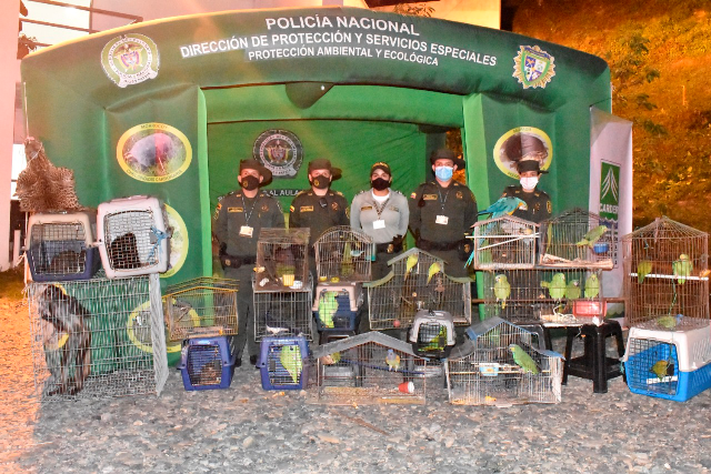 Tu-casa-no-es-mi-casa-mi-casa-es-el-bosque